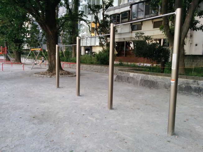 上野公園の鉄棒